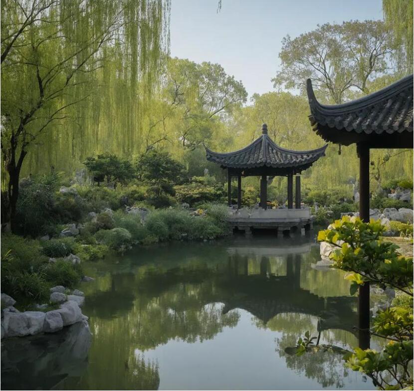 马村区雨珍餐饮有限公司